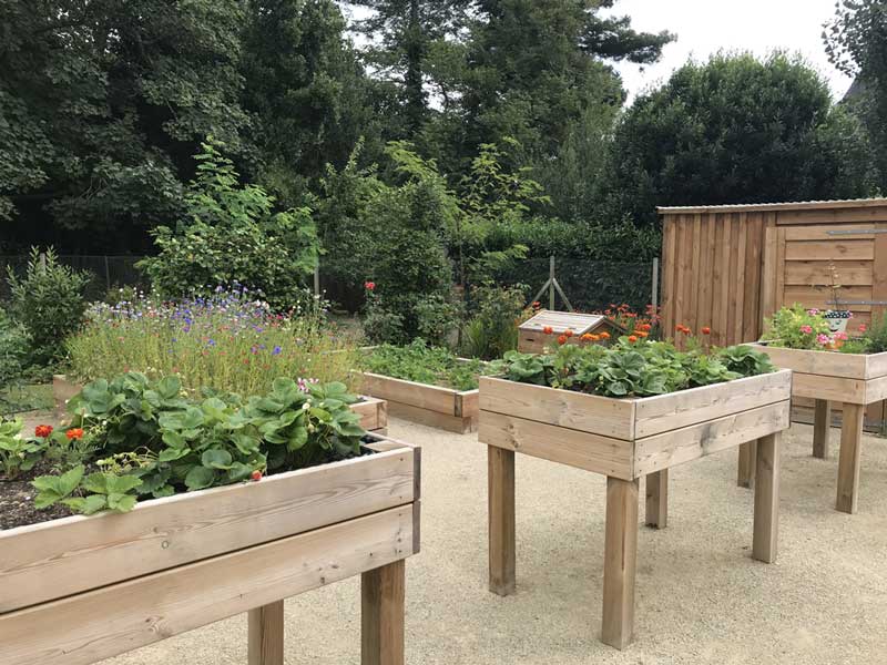 Le potager en hauteur